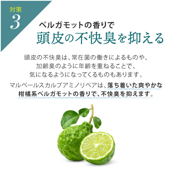 マルベールスカルプアミノリペア