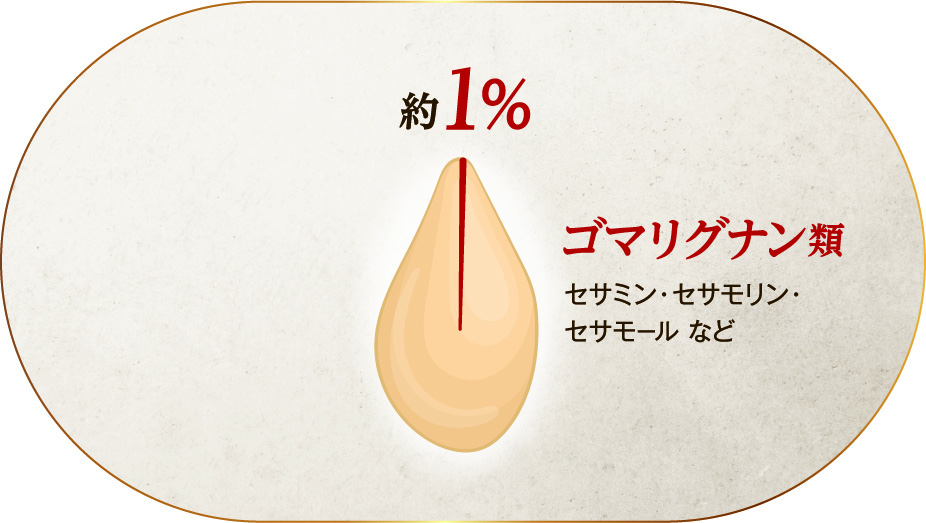 ゴマリグナンとは