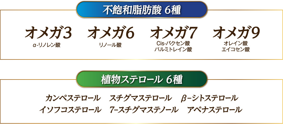 ゴマリグナンの栄養素