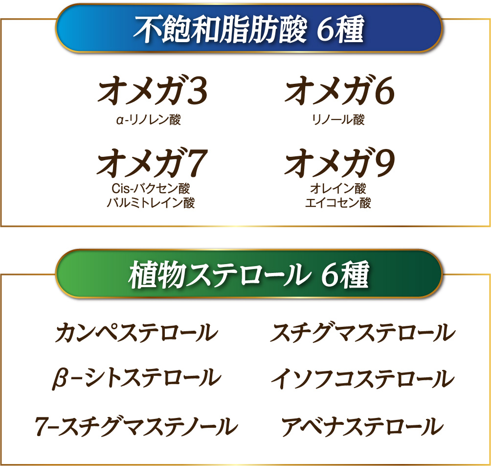 ゴマリグナンの栄養素